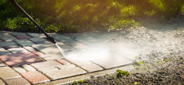 Best Animal Enclosure Cleaning  in Walhalla, SC